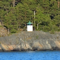 Tyvö